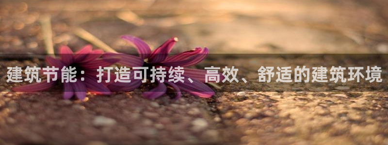 e尊国际-可可计划：建筑节能：打造可持续、高效、舒适的建筑环境