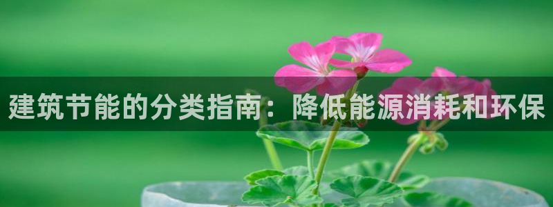 e尊国际-可可计划：建筑节能的分类指南：降低能源消耗和环保