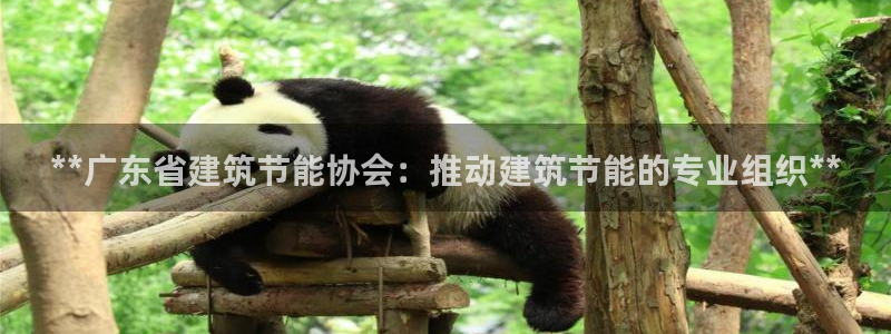 e尊国际是个黑网：**广东省建筑节能协会：推动建筑节能的专业组织**