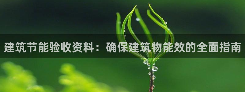 e尊国际平台：建筑节能验收资料：确保建筑物能效的全面指南