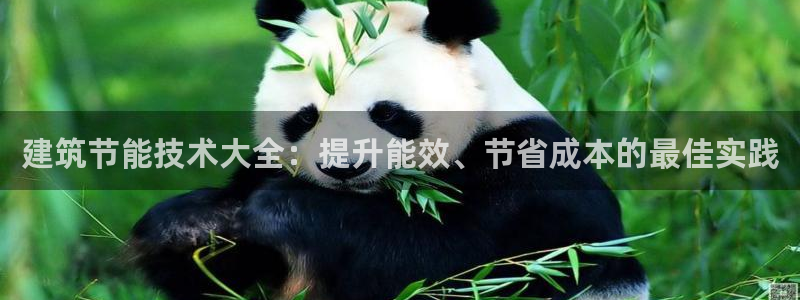 E尊国际网站：建筑节能技术大全：提升能效、节省成本的最佳实践