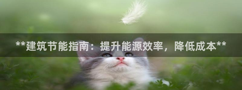 e尊国际娱乐官网下载：**建筑节能指南：提升能源效率，降低成本**