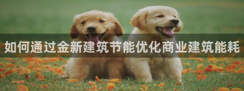 e尊电竞：如何通过金新建筑节能优化商业建筑能耗