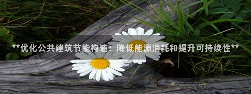 e尊国际平台：**优化公共建筑节能构造：降低能源消耗和提升可持续性**