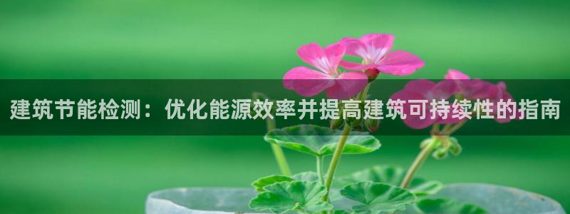 e尊国际官网·网址：建筑节能检测：优化能源效率并提高建筑可持续性的指南