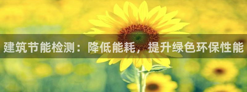 e尊国际官网：建筑节能检测：降低能耗，提升绿色环保性能