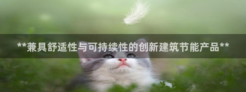e尊国际官网app：**兼具舒适性与可持续性的创新建筑节能产品**