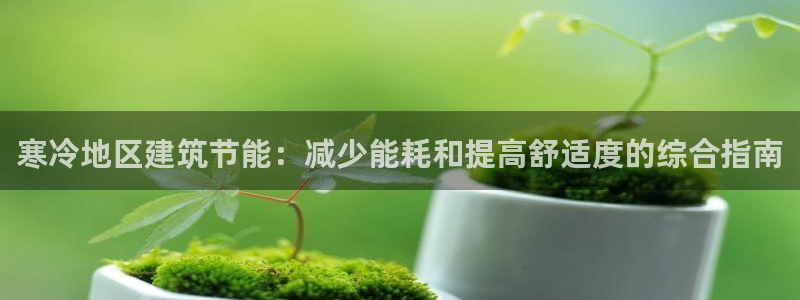 谁知道e尊国际的网址