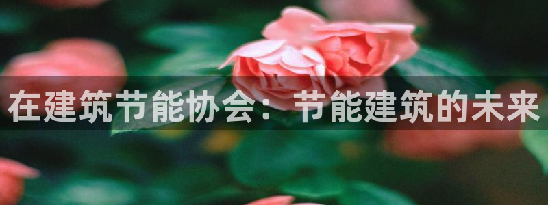 e尊国际官网·网址：在建筑节能协会：节能建筑的未来