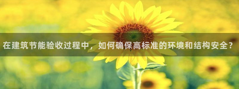 e尊国际7779：在建筑节能验收过程中，如何确保高标准的环境和结构安全？