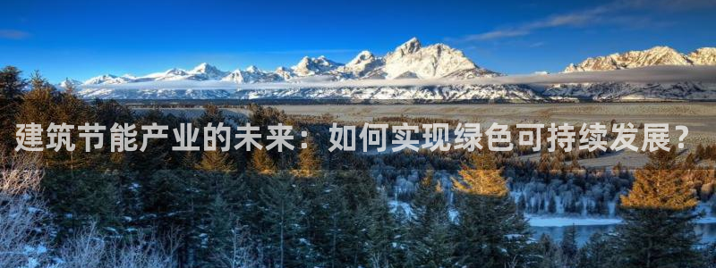 e尊平台：建筑节能产业的未来：如何实现绿色可持续发展？