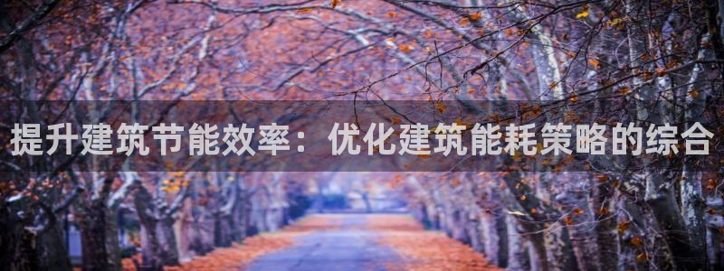 e尊国际娱乐官网地址：提升建筑节能效率：优化建筑能耗策略的综合