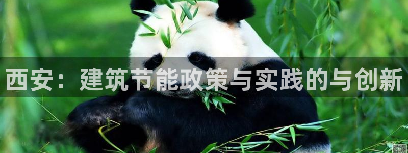 e尊国际-e尊国际官网：西安：建筑节能政策与实践的与创新