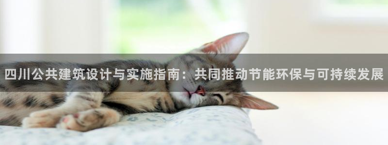 e尊国际的手机登录网站：四川公共建筑设计与实施指南：共同推动节能环保与可持续发展