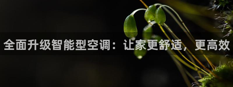 e尊电竞