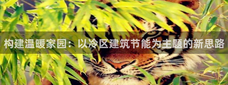 e尊国际是干什么的：构建温暖家园：以冷区建筑节能为主题的新思路