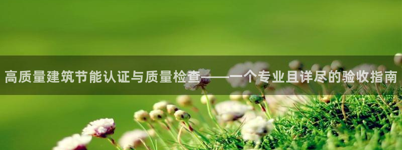 e尊国际娱乐官网下载：高质量建筑节能认证与质量检查——一个专业且详尽的验收指南