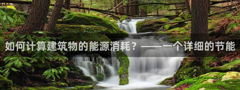 谁知道e尊国际的网址