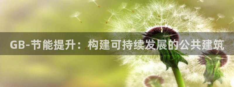 e尊国际官网·网址：GB-节能提升：构建可持续发展的公共建筑