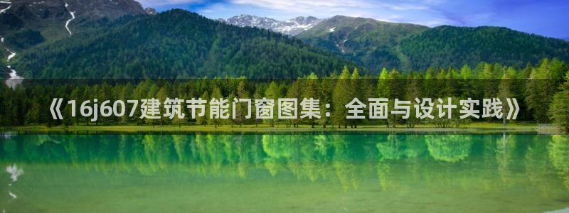 E尊国际网站：《16j607建筑节能门窗图集：全面与设计实践》