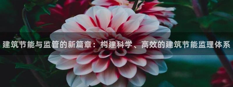 e尊国际app：建筑节能与监管的新篇章：构建科学、高效的建筑节能监理体系