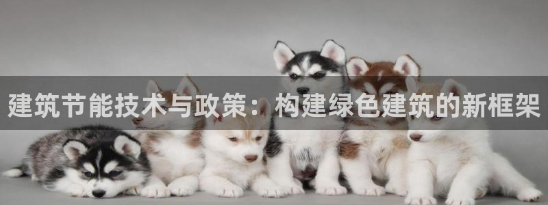 e尊国际可靠吗：建筑节能技术与政策：构建绿色建筑的新框架