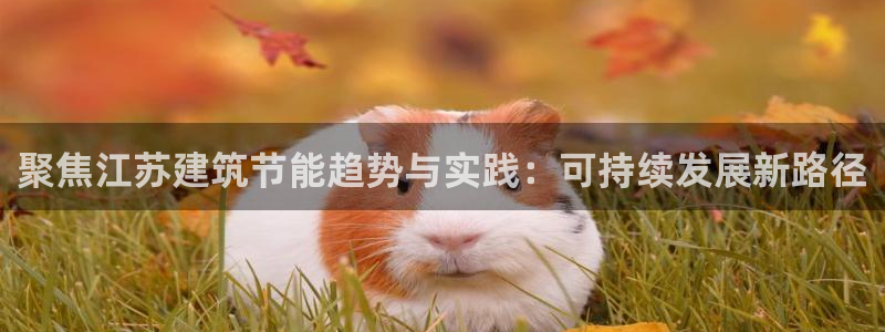 e尊国际官网·网址：聚焦江苏建筑节能趋势与实践：可持续发展新路径