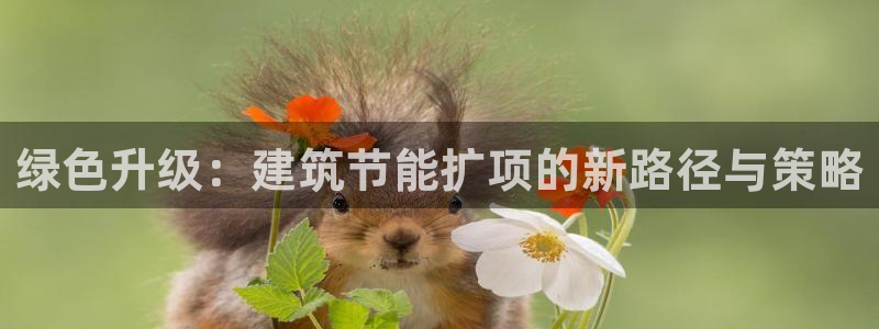 e尊国际7779：绿色升级：建筑节能扩项的新路径与策略