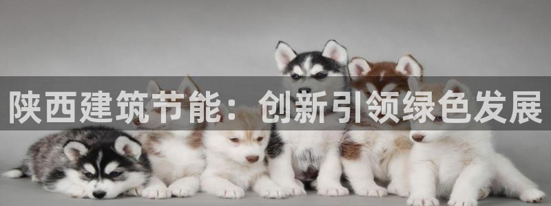 e尊国际娱乐官网地址：陕西建筑节能：创新引领绿色发展