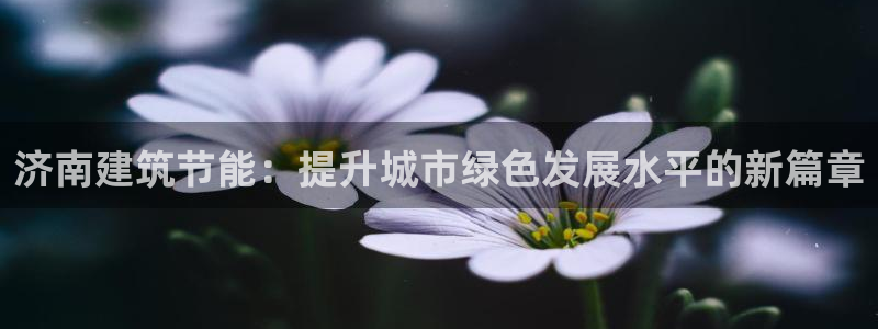e尊国际可靠吗