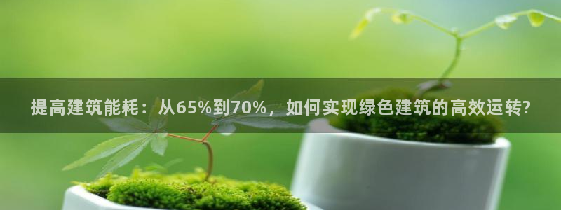 e尊国际是干什么的