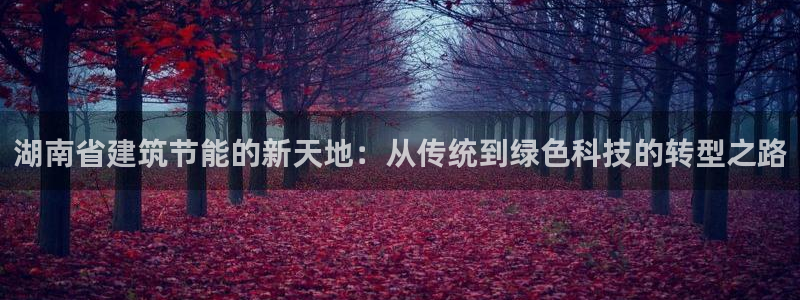 e尊国际官网：湖南省建筑节能的新天地：从传统到绿色科技的转型之路