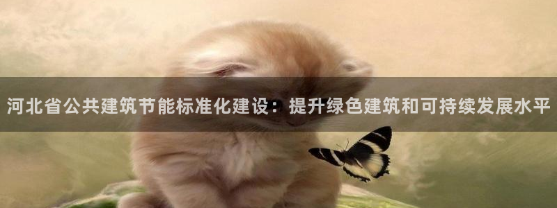 e尊平台：河北省公共建筑节能标准化建设：提升绿色建筑和可持续发展水平