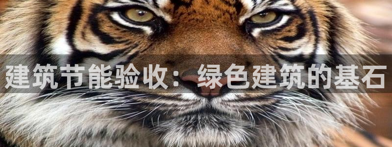 e尊国际7779：建筑节能验收：绿色建筑的基石