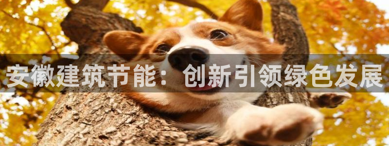 尊亿游戏国际官网