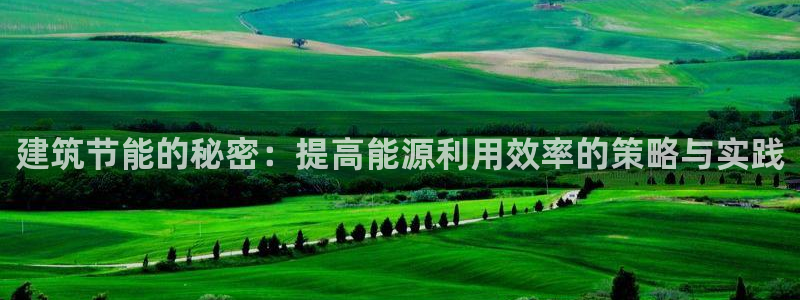 e尊国际-可可计划