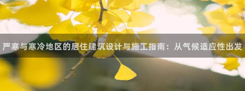 e尊国际是个黑网：严寒与寒冷地区的居住建筑设计与施工指南：从气候适应性出发