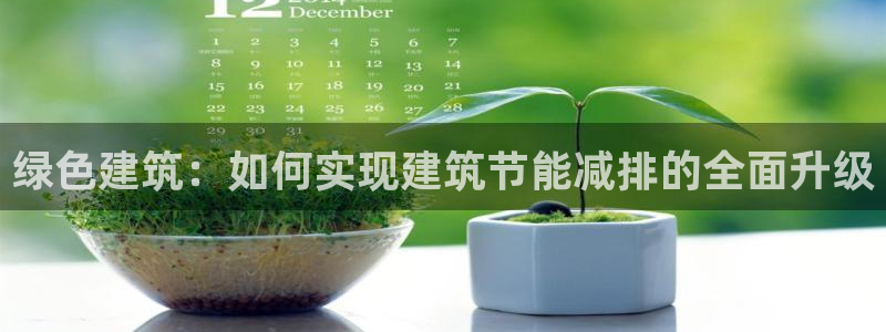 e尊国际-可可计划