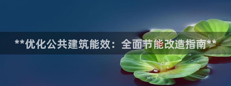 e尊国际地址：**优化公共建筑能效：全面节能改造指南**