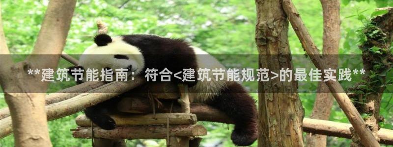 e尊国际平台：**建筑节能指南：符合<建筑节能规范>的最佳实践**
