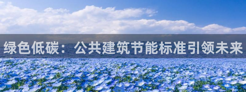 e尊国际-e尊国际官网