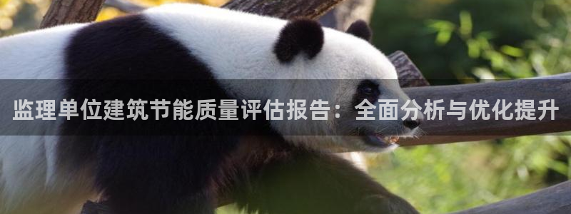 e尊国际地址：监理单位建筑节能质量评估报告：全面分析与优化提升