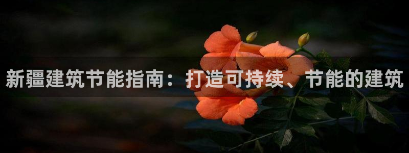 e尊国际娱乐官网地址