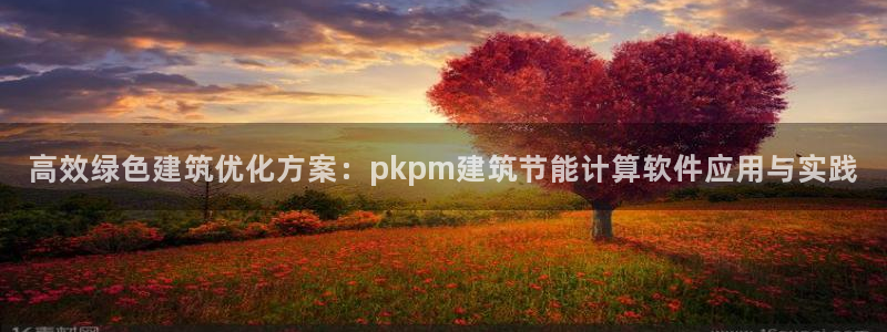 e尊国际官网：高效绿色建筑优化方案：pkpm建筑节能计算软件应用与实践