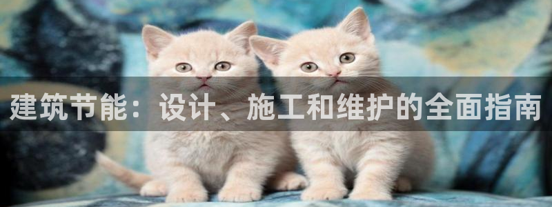 e尊官网：建筑节能：设计、施工和维护的全面指南