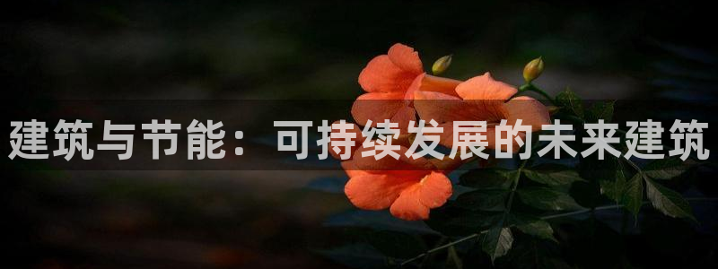 e尊国际可靠吗：建筑与节能：可持续发展的未来建筑
