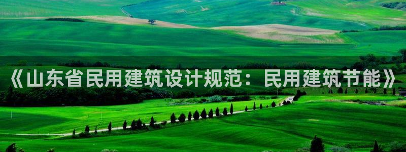 e尊国际是干什么的：《山东省民用建筑设计规范：民用建筑节能》