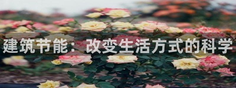 e尊国际客户端下载：建筑节能：改变生活方式的科学