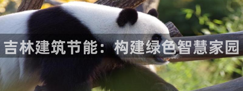 e尊国际客服：吉林建筑节能：构建绿色智慧家园