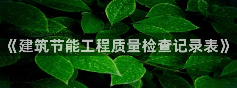 e尊国际客服：《建筑节能工程质量检查记录表》
